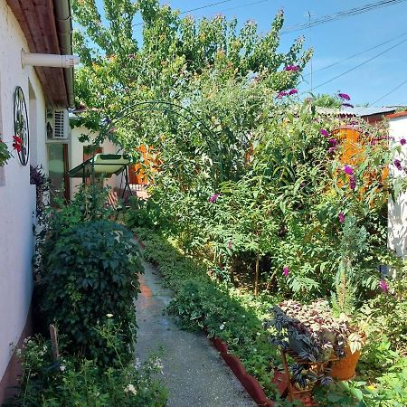 فيلا تولتشيافي Casa Calin المظهر الخارجي الصورة